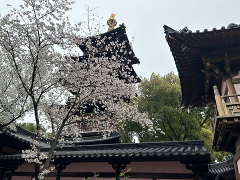 寒山寺