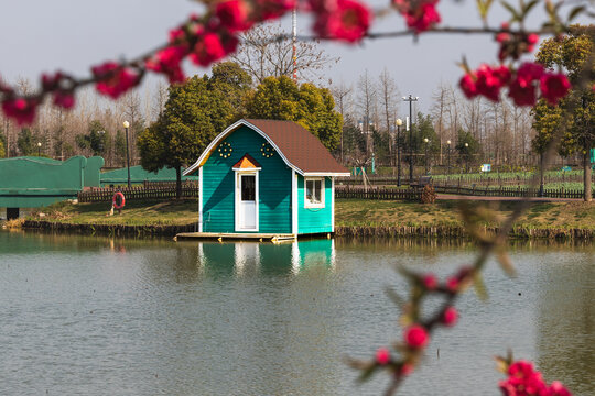 大丰郁金香花海景观