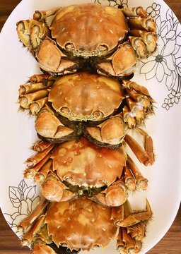 美食蒸熟海鲜大螃蟹