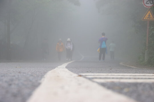 大雾天马路