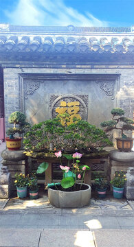 中式庭院墙面