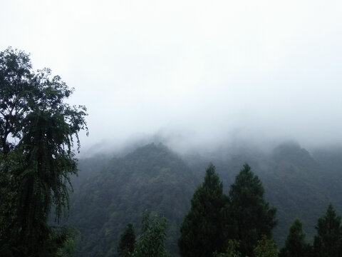 贵州山间雾