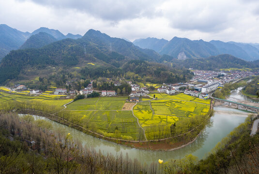 汉中油菜花海