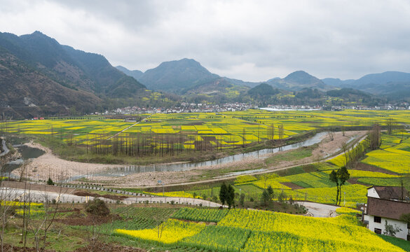 汉中油菜花海