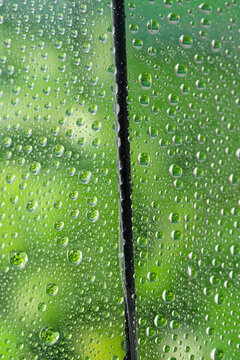 雨水