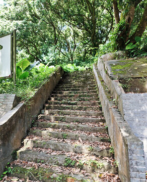 陆川谢鲁山庄