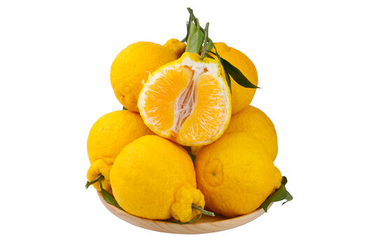柠檬丑橘