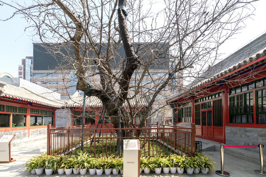 国立蒙藏学校旧址