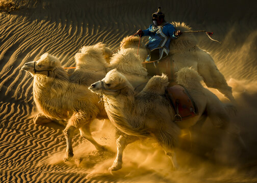 沙漠骆驼队