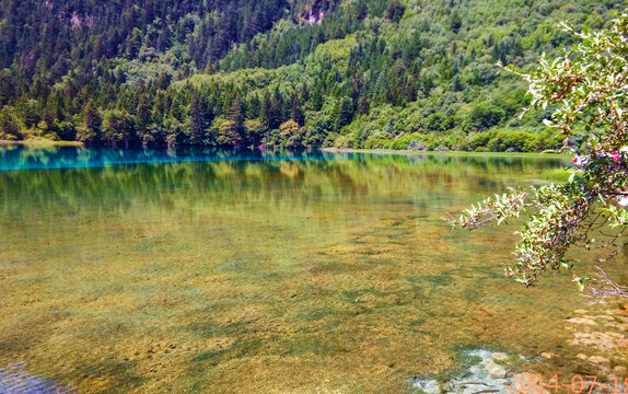 火花海