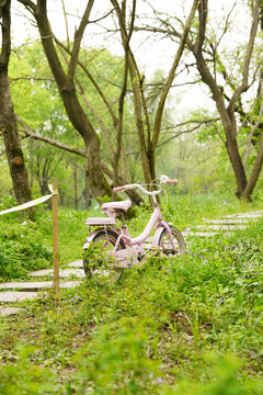 乡间的小路和粉色自行车
