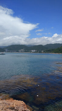 大海