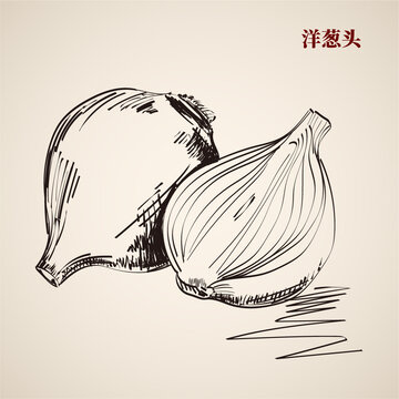 手绘线条洋葱头