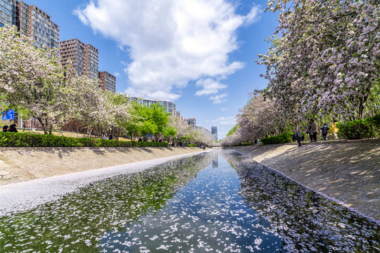 望京休闲水岸