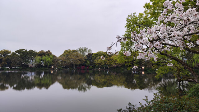 西湖景色