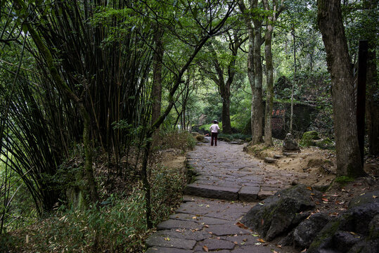 福建省武夷山风景区