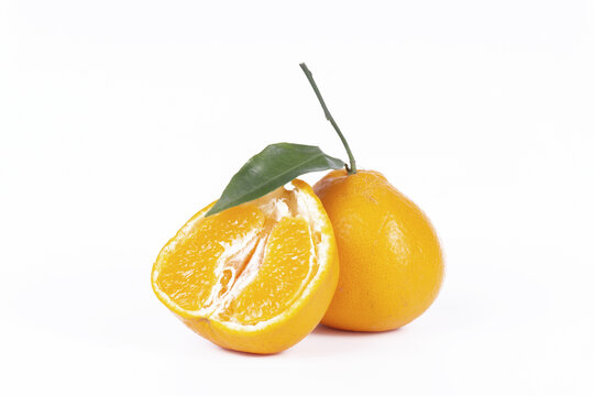 粑粑丑橘