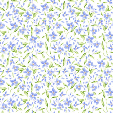 米底绿叶蓝花