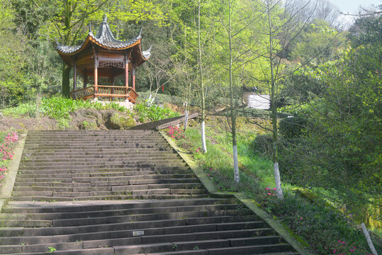 雅安蒙顶山登山道及寻茶亭