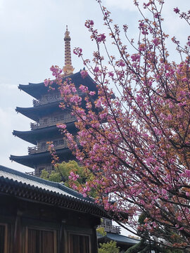 上海宝山寺