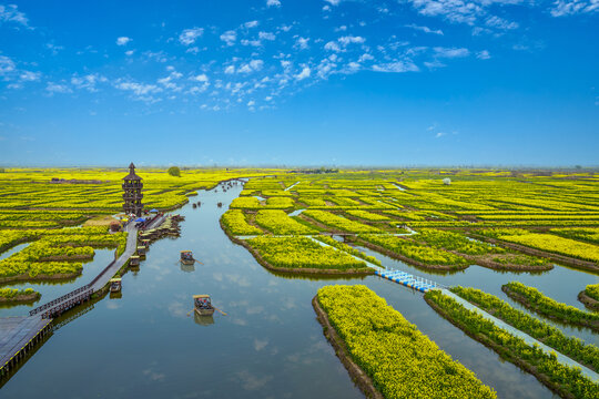 兴化千岛景区