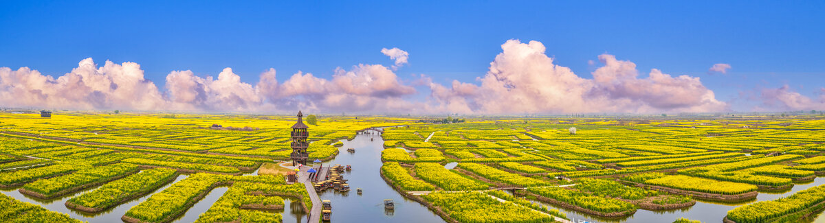 兴化千垛风景区