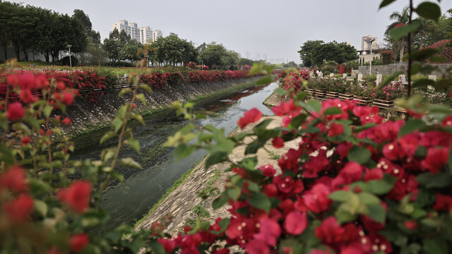 北海市花公园