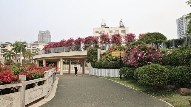 北海市花公园