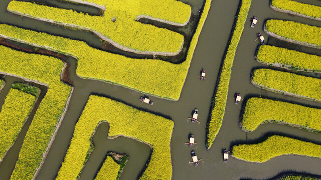 江苏千垛旅游