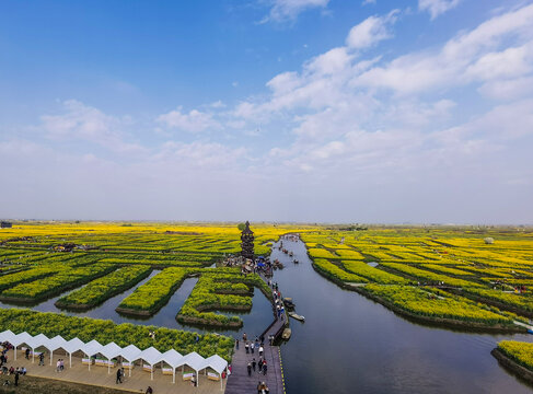 水上油菜花田