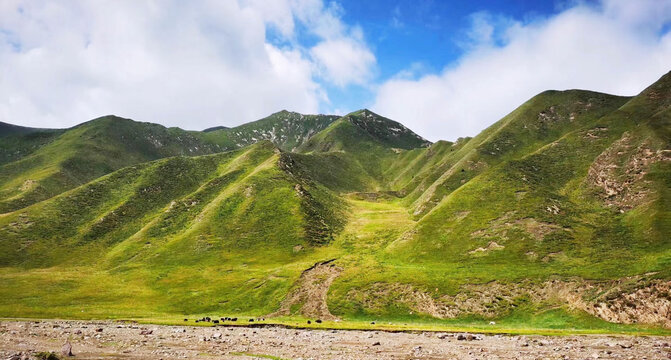 自然风景