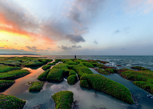 大连海岸