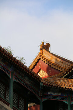 北京颐和园清代建筑房顶