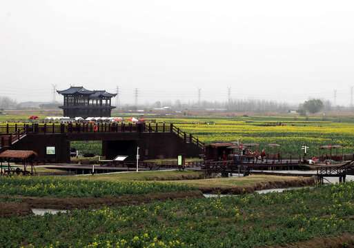 千岛菜花风景区