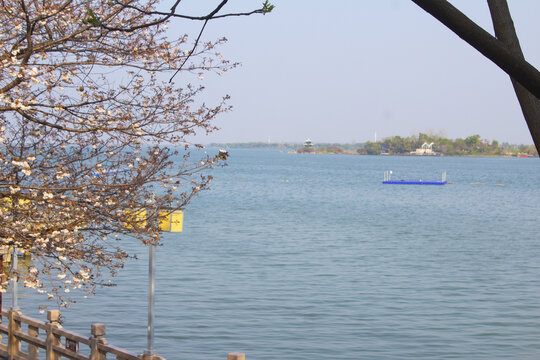 柳叶湖