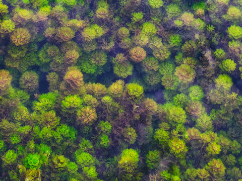 靖西鹅泉水草清澈湖水