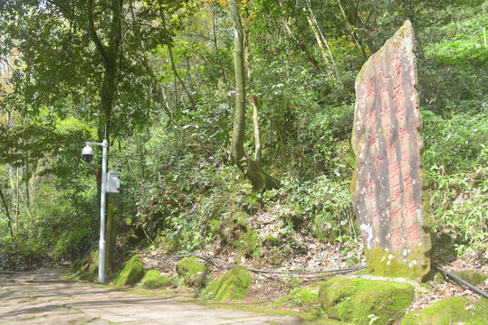 雅安蒙顶山登山道茶文化碑