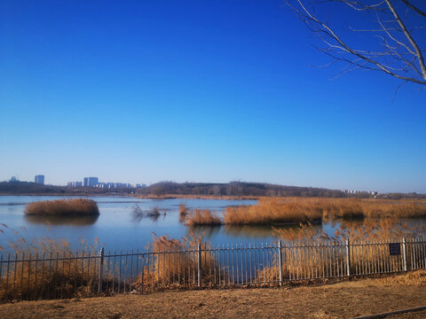 湖水天空