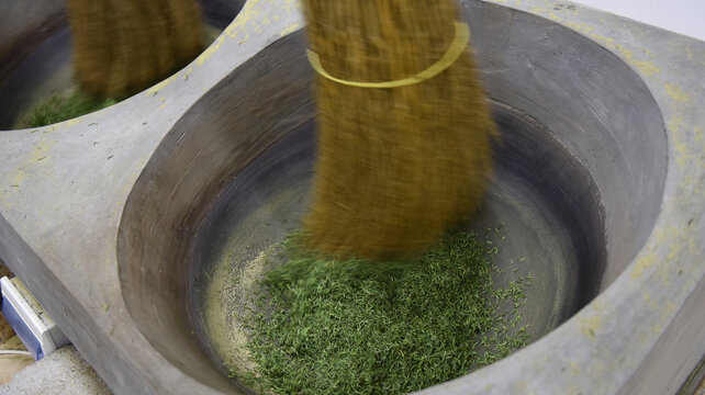 茶叶生产