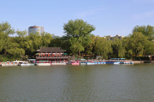 北京紫竹院公园景色