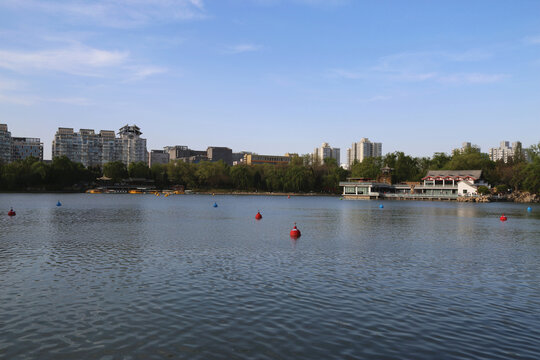 北京紫竹院公园景色