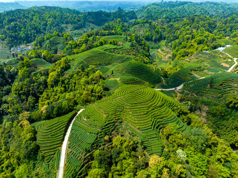 雅安金鼓村大地指纹景区