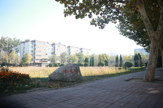 天津职业师范大学