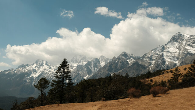 丽江玉龙雪山牦牛坪景区