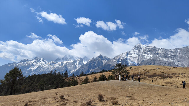 丽江玉龙雪山牦牛坪景区