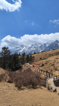 丽江玉龙雪山牦牛坪景区