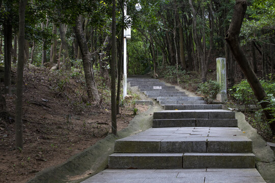 深圳铁仔山公园登山道