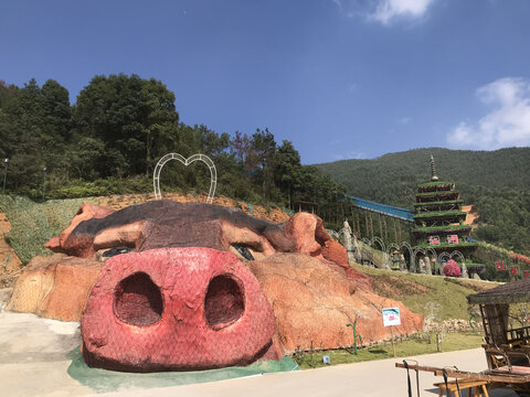 梅州丰顺大宝山野猪头