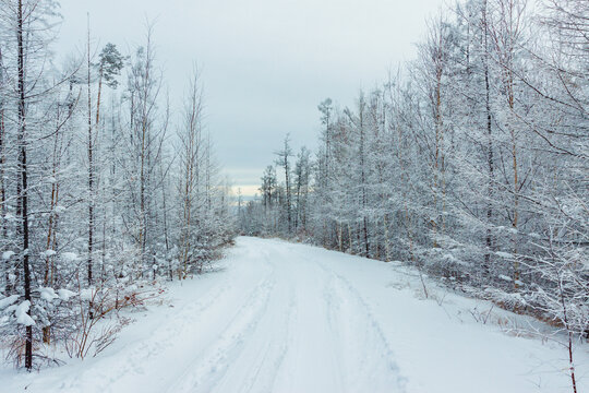 森林大雪雾凇山路