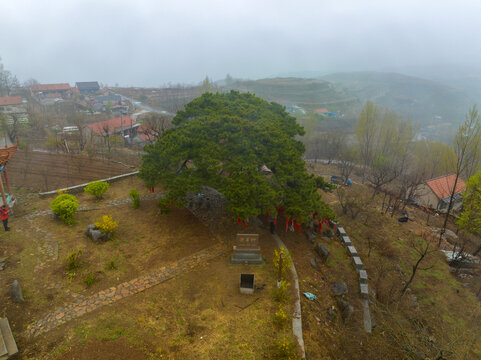 蒙阴岱崮地貌桃花节